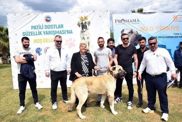 CHP’li belediyenin sorumsuzluğu Atabey Eryürekli’yi öldürüyordu!