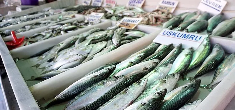 Soğuk hava balık fiyatlarına tavan yaptırdı