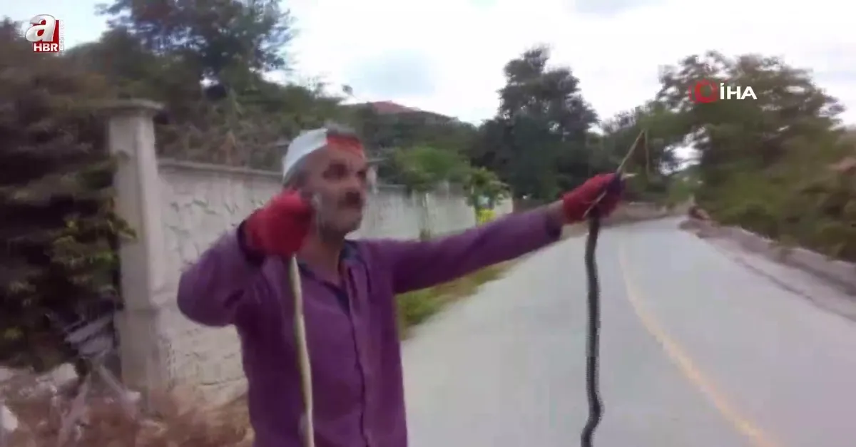 Eliyle yakaladığı yılanlarla video çekip kahkaha attı