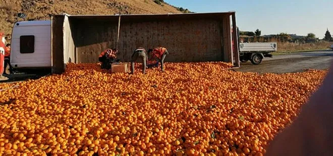 Emeklere yazık oldu: 15 ton mandalina yola saçıldı