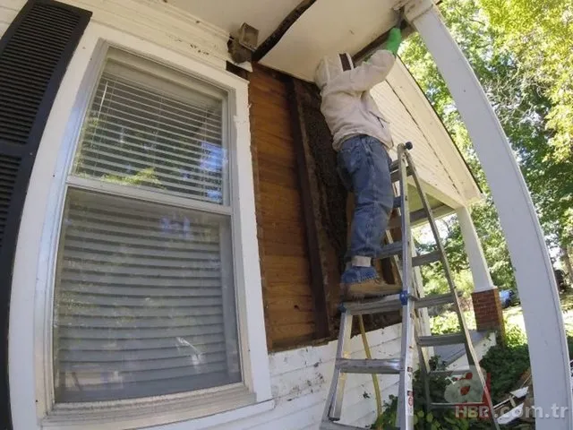 Evinin duvarından gelen garip sesler arttı! Termal kamerayla bakınca şoka girdi 25