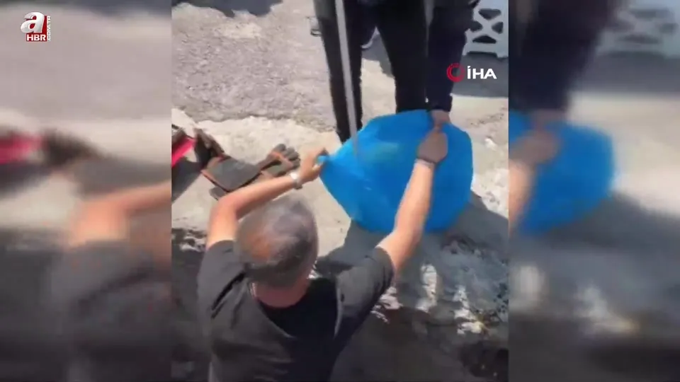 Aracın altına giren yılan çıkarıldı