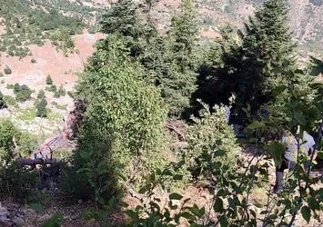 Adana'da feci kaza! 2 ölü