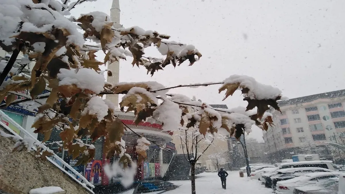 Bingöl'de kar yağışı etkili oldu