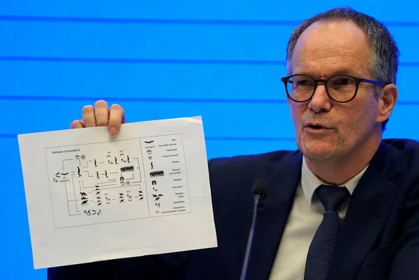 Son dakika: Koroanvirüs incelemesinin sonuçları açıklandı! Koronavirüs yarasadan mı çıktı?