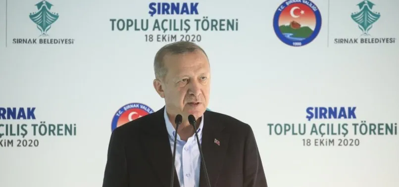 Son dakika: Başkan Erdoğan'dan önemli açıklamalar