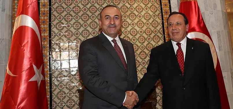Dışişleri Bakanı Çavuşoğlu, Cihinavi ile görüştü