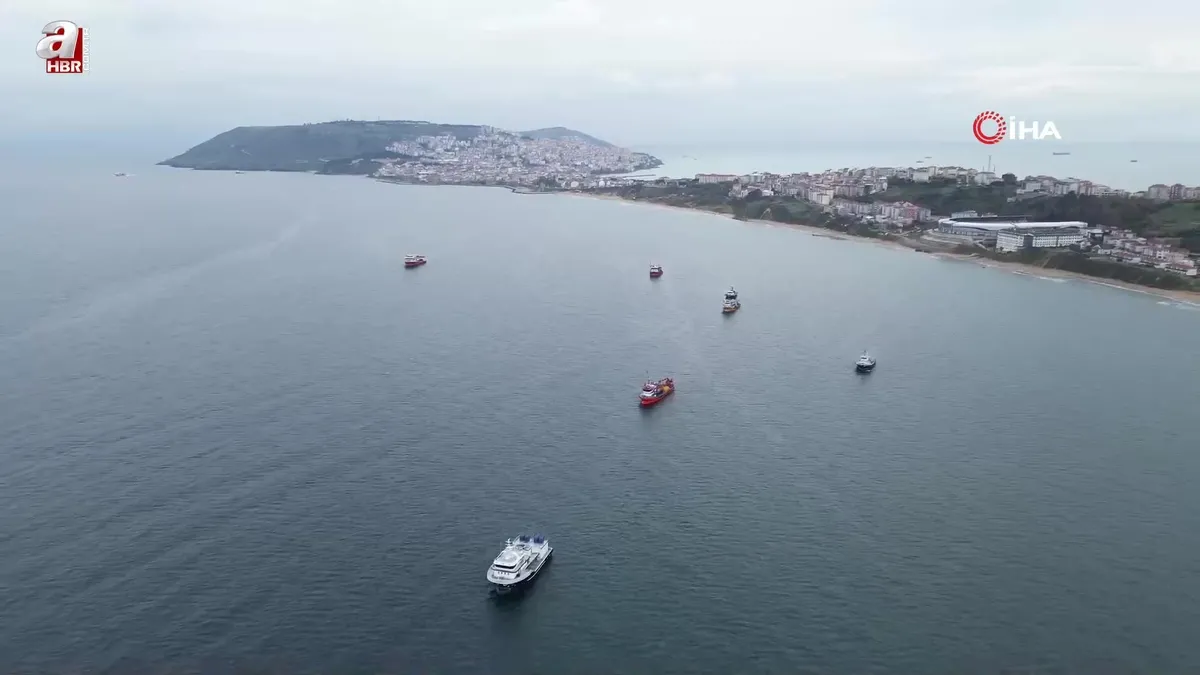 Sinop’ta torik bolluğu: Tanesi 800 TL