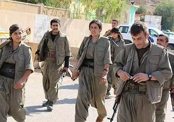 Avrupa devletleri neden hayır için çalışıyor?