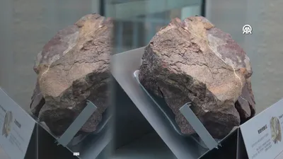 O bölgede ilk kez keşfedildi