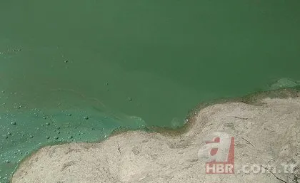 İstanbul’daki Sazlıdere Barajı’nda tehlike! Siyanobakteri artışı gözlemlendi