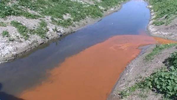 İstanbul’da derelere pislik içinde kaldı! Dereler ölüm saçıyor İBB’ye tepki yağıyor