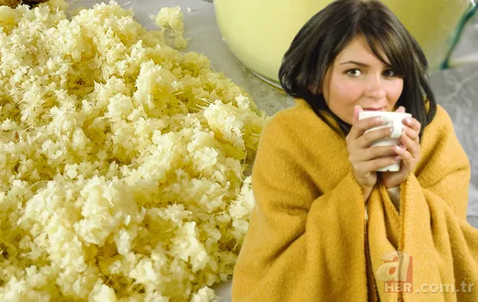 Vücudu kalorifer gibi ısıtıyor! Tüketen kolay kolay üşümüyor 1