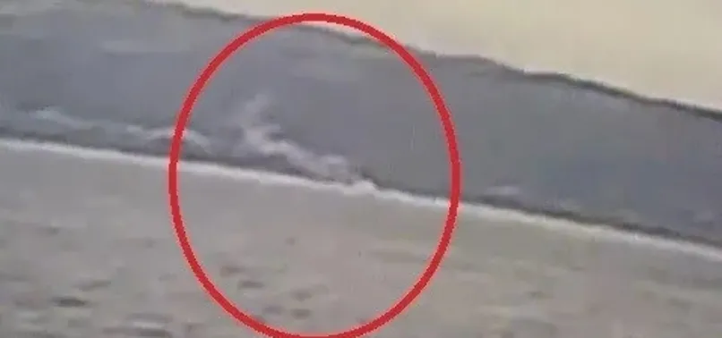 Depremden 7 dakika önce denizden gökyüzüne yükseldi! Gemlik Körfezi'nden çıkan duman ne anlama geliyor? Yeni bir depremin habercisi mi?