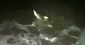 Lütfen bir daha gelme