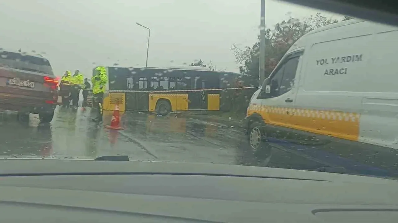 İstanbul'da peş peşe İETT faciası! Kontrolden çıkan araç ormana uçtu