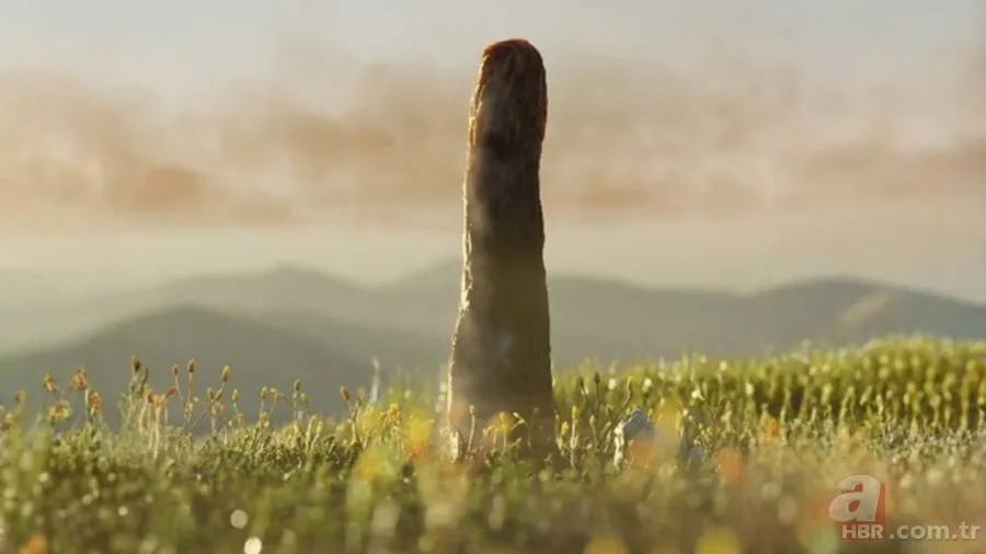 Tam 410 milyon yıl önce dünyadaydı! Bilim insanları bu canlının ne olduğunu bilmiyor 1