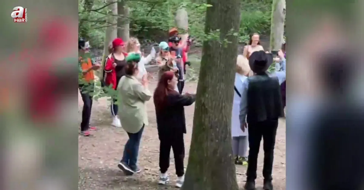 Belgrad Ormanı'nda gizemli yoga