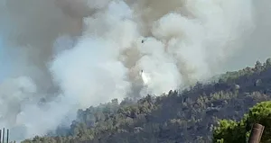 Aydın’da orman yangını