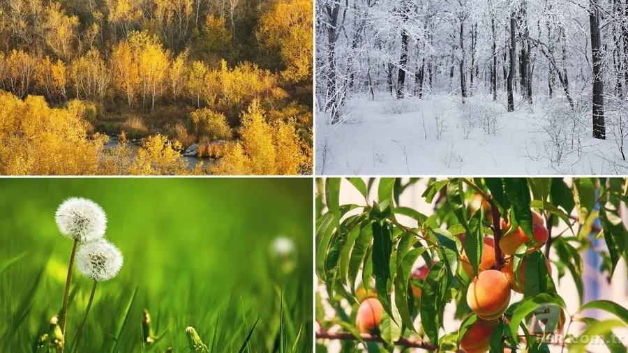 Dünya’nın mevsim haritası yenilendi: Uyumsuzluk sanıldığından büyük 5