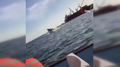 Turistler dehşeti yaşadı! Sudan sıçrayan balina tekneye çarptı