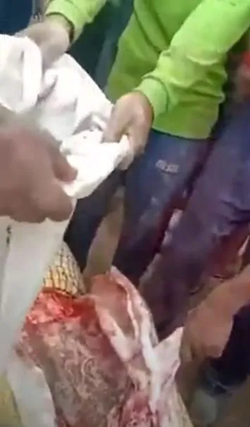 Timsahın karnından insan çıktı! Kan donduran anlar böyle görüntülendi...