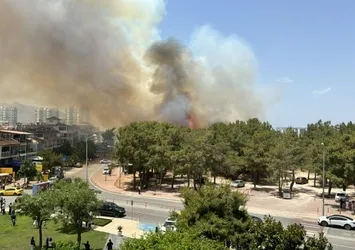 Antalya'da iki ayrı orman yangını! Ekiplerin hızlı müdahalesi sonuç verdi