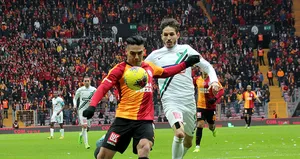 Aslan evinde kükredi