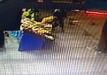 İstanbul’da 9 yaşındaki kız çocuğuna taciz iddiası mahalleyi karıştırdı! Şüpheliyi linçten polis kurtardı