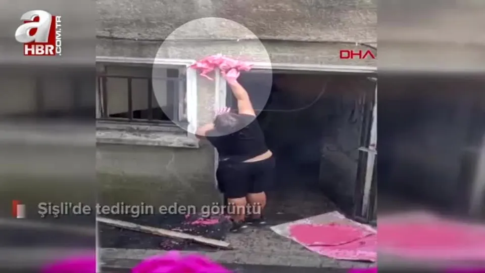 Ölü kediyi boyayıp pencereye astı