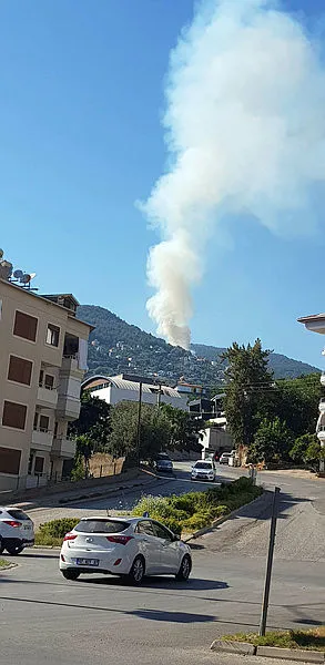 1689863361071.jpg Antalya’nın Alanya ilçesinde orman yangını kontrol altında - 1