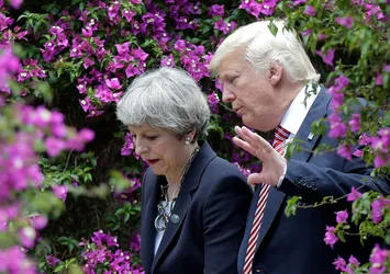 Donald Trump'tan Theresa May'i şaşırtan sözler