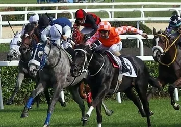 98. Gazi Koşusu! Yarışı Dragon Flame isimli safkan jokeyi Akın Sözen ile kazandı