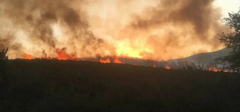 Tarım ve Orman Bakanlığından 'yangın' açıklaması
