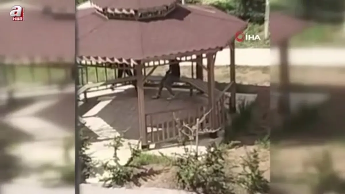 Elazığ’da kamelyalara zarar verdiler