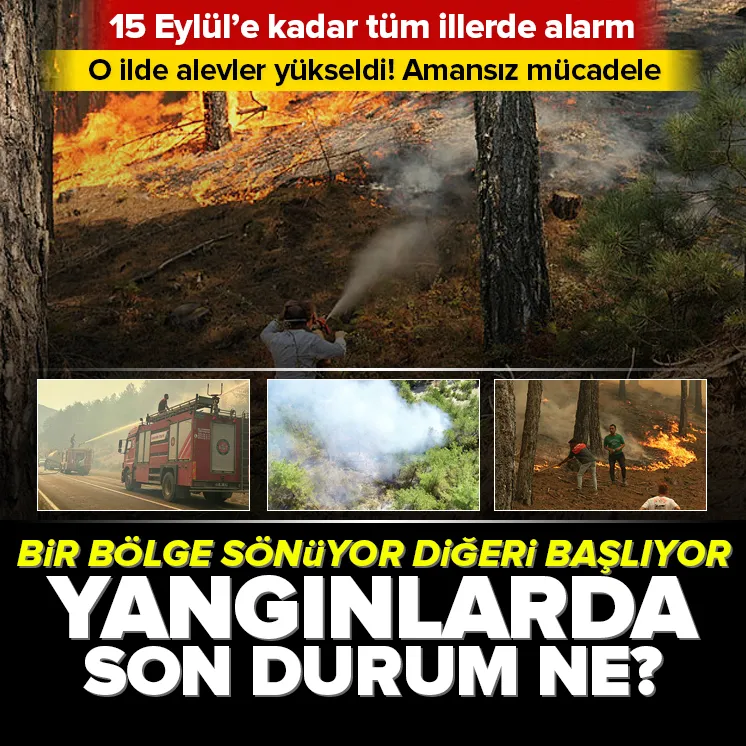 Orman yangınlarında son durum ne?