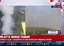 Milas’ta orman yangını