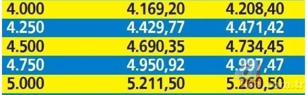 SSK Bağ-Kur Ocak ayı maaş tablosu! 2022 emekli maaşı ne kadar olacak? Yeni yılda emekli zammı kaç TL? 9