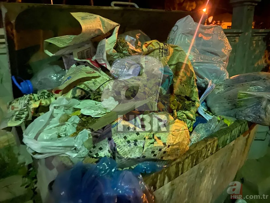 CHP'li Sultanhisar Belediyesi'ne tepki! Çöp yığınları vatandaşları isyan ettirdi | Koku nedeniyle bahçede oturamaz hale geldiler 1