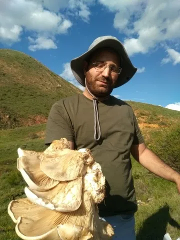 Erzincan'da bulunan dev mantar şaşırttı - 1