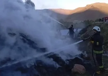 Van'da 9 bin 500 bağ ot yandı