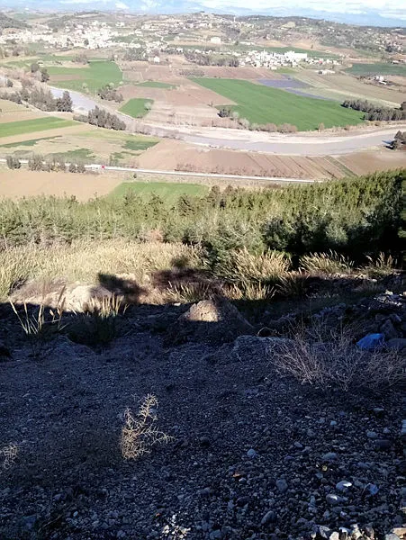 Adana’da yasak aşk yaşayan kızını korumak için damadını öldürdü! Gözaltına alınırken fenalaşıp öldü - 8