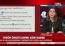 Terör örgütlerine ağır darbe