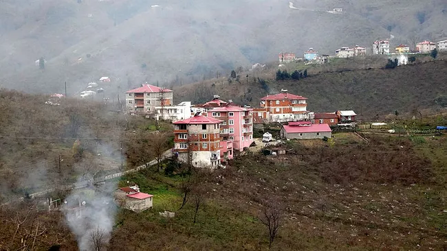 Giresun’da mahalleye inen kurtlar için vatandaş sopalı ve baltalı nöbet tutuyor - 7