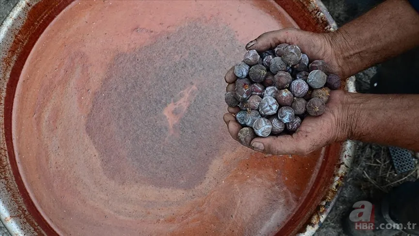 Canan Karatay'dan Sahur Mucizesi! Bu Besinle Enerji Dolu Bir Gün! 6