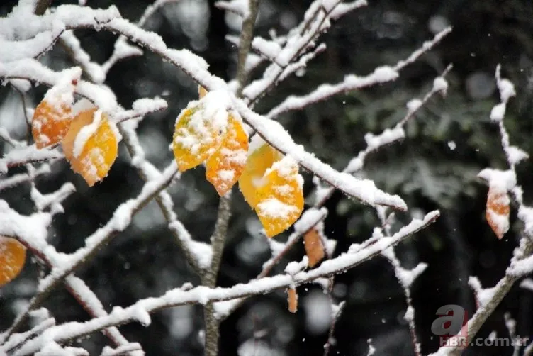 Kocaeli ve Bolu'nun yüksek kesimlerine ilk kar düştü 17