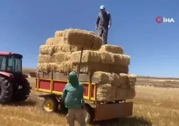 Kavuran sıcakta dondurucu kışa hazırlık