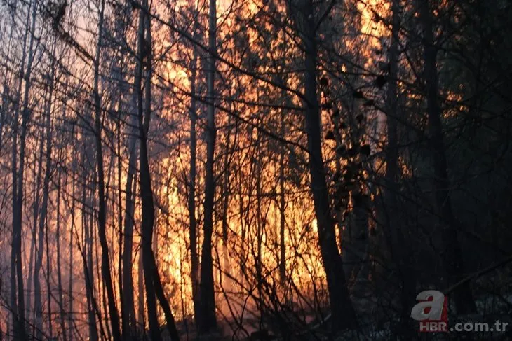 Hatay’daki orman yangını söndürüldü! 2 kişi tutuklandı