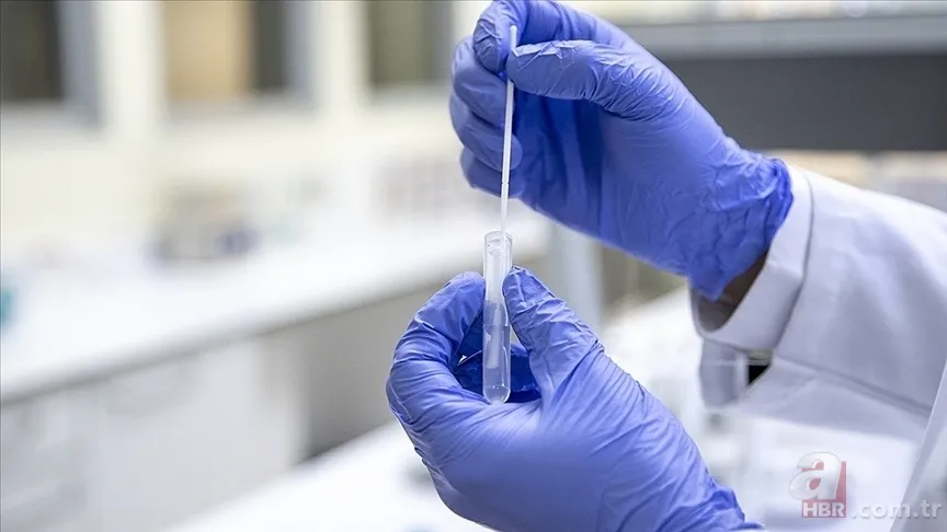 Klinik Destek Elemanı, Hasta Karşılama İŞKUR başvuru şartları | 2022 Sağlık Bakanlığı işçi alımı başvuru nasıl yapılır? 13