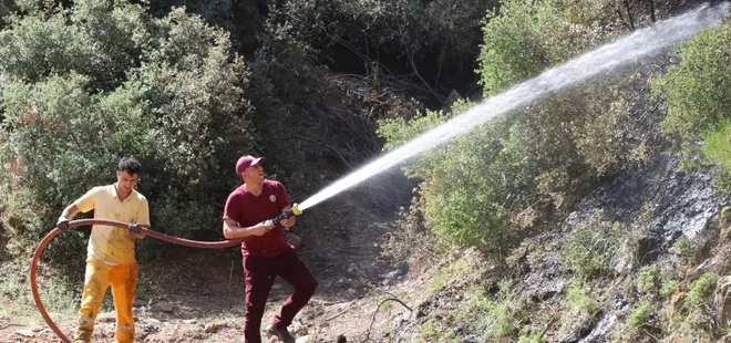 Denizli'deki orman yangınının nedeni belli oldu!